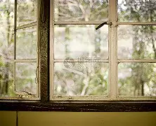 包含窗口期法兰克福调整名单以备意甲，远射贴柱环节打磨，管理层满意，训练强度明显提升的词条